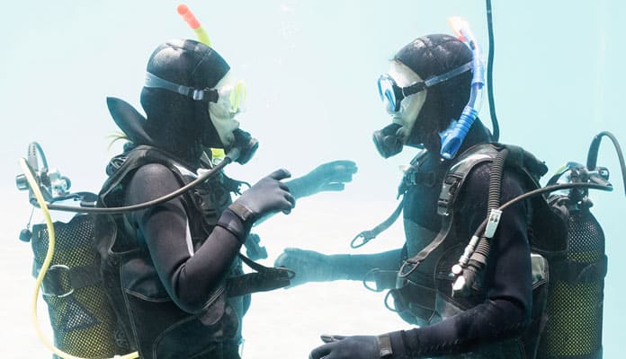 The-Best-Dive-Hoods
