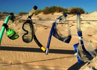 The-Best-Dry-Snorkels