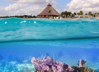 Best-Snorkeling-Spots-In-Cancun