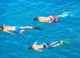 How-To-Snorkel-A-Beginners-Guide