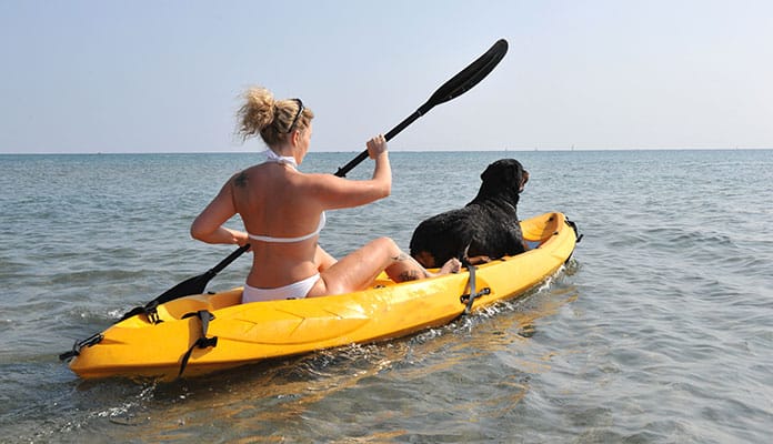 How-To-Choose-A-Kayak-For-Dogs