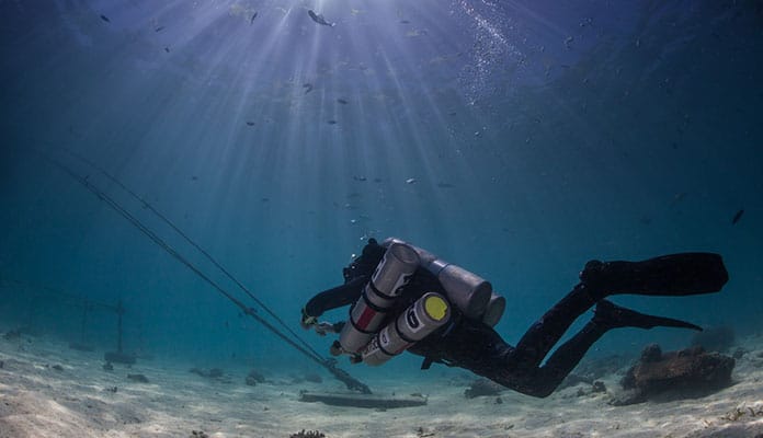 Do-the-Deepest-Dive-First-when-Doing-Multiple-Dives