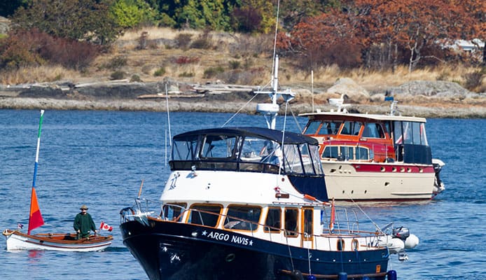 Best_Bimini_Tops_For_Boats