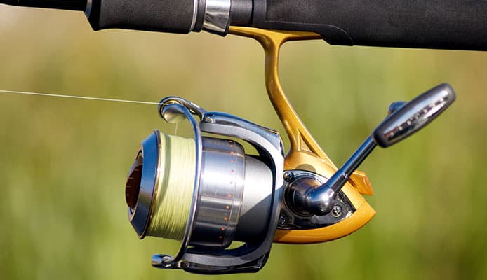 Best_Spinning_Reels