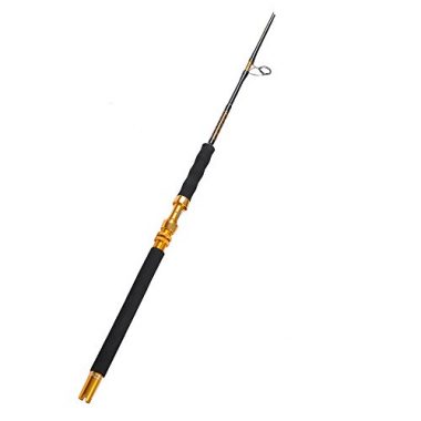 Fiblink Saltwater 1-Piece Heavy Fishing Jigging Rod