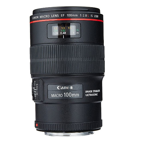 Canon EF 100mm f/2.8 IS Macro Underwater Lens