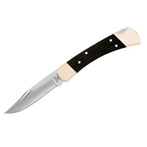 Buck Knives 110 Folding Hunter Pocket Knife