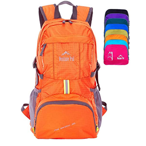 Venture Pal Travel Lightweight Backpack