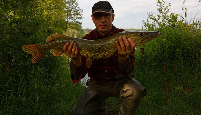 What_Is_A_Muskie_Lure