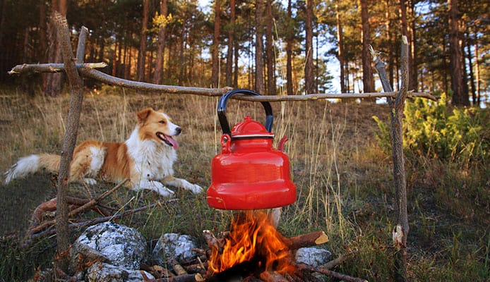 How_to_Make_Coffee_While_Camping_Our_Favorite_Ways_To_Brew