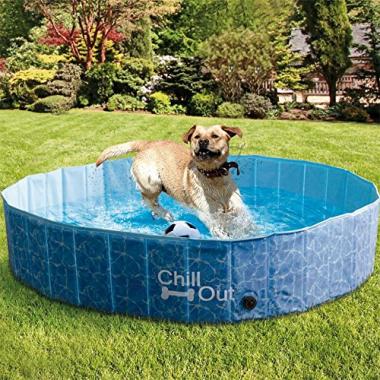 ALL FOR PAWS Outdoor Bathing Dog Pool