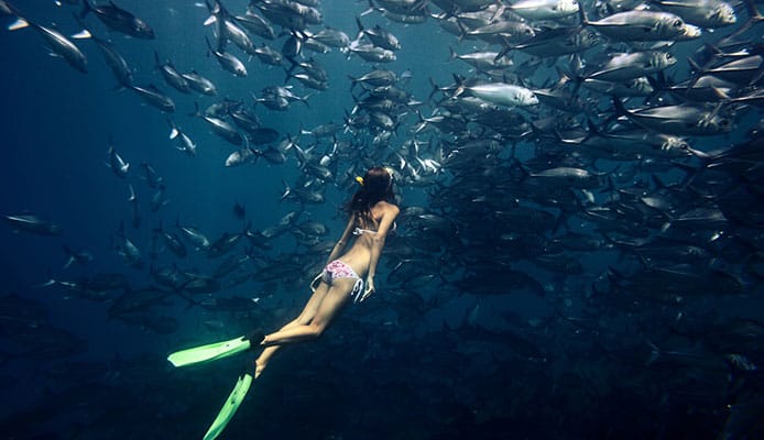 What_Is_Freediving_And_How_To_Do_it