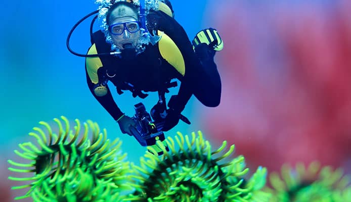10_Best_Diving_Spots_In_Asia