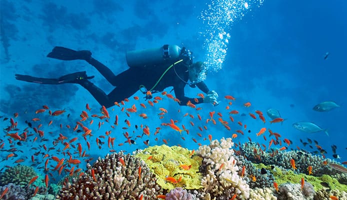 10_Best_Diving_Spots_In_Australia