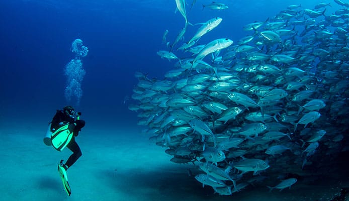 10_Best_Diving_Spots_In_Costa_Rica