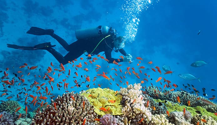 10_Best_Diving_Spots_In_Maldives