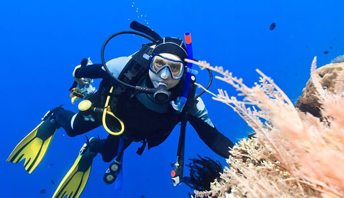 10_Best_Diving_Spots_In_Red_Sea,_Egypt