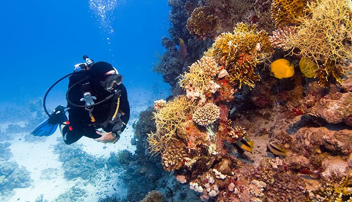 10_Best_Diving_Spots_In_South_Africa