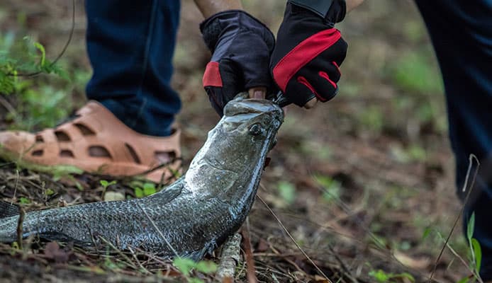 How_to_Unhook_A_Fish_Guide How_to_Unhook_A_Fish_Guide