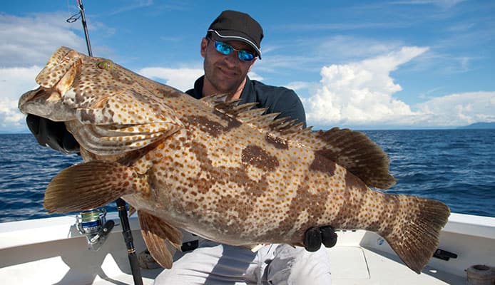 How_To_Catch_Grouper_Guide
