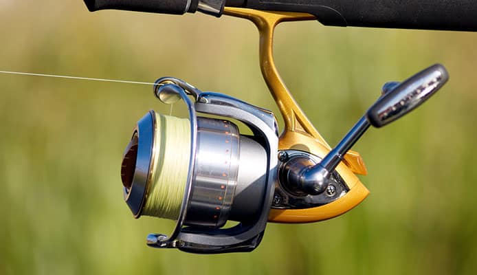 Spinning_Reel_Care_And_Maintenance_Guide