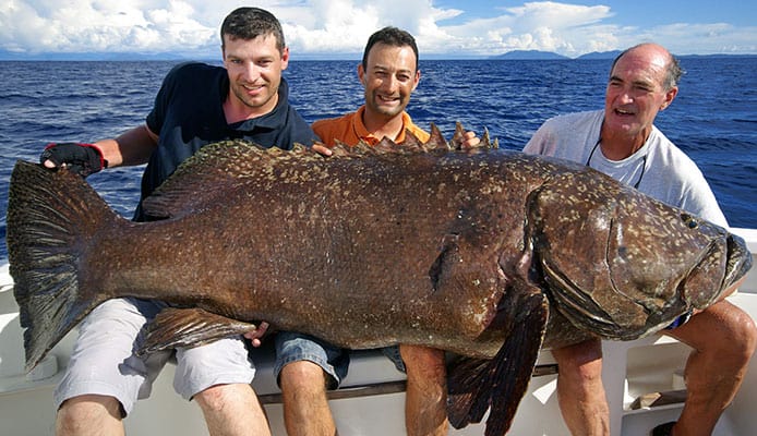 The_Best_Lines_For_Grouper_Fishing