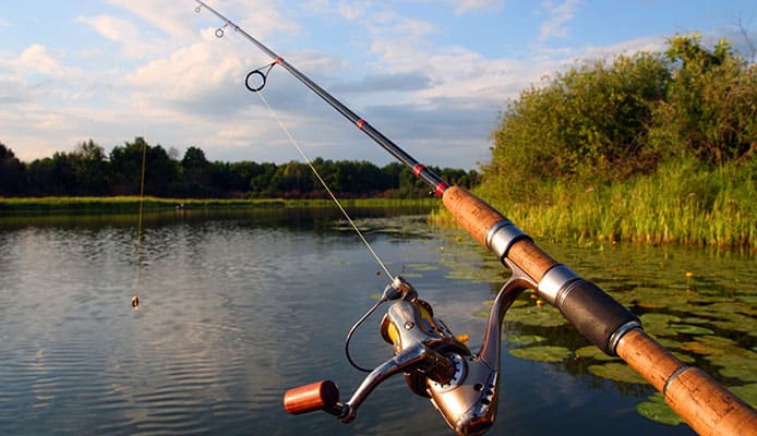 Collapsible Fishing Rod And Reel Combos Fundamentals Explained