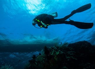 10_Best_Dive_Sites_In_The_Caribbean_(2)