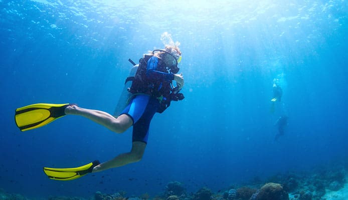 How_To_Get_The_Padi_Freediver_Certification