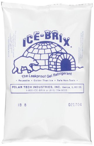 Polar Tech IB6 Ice Brix
