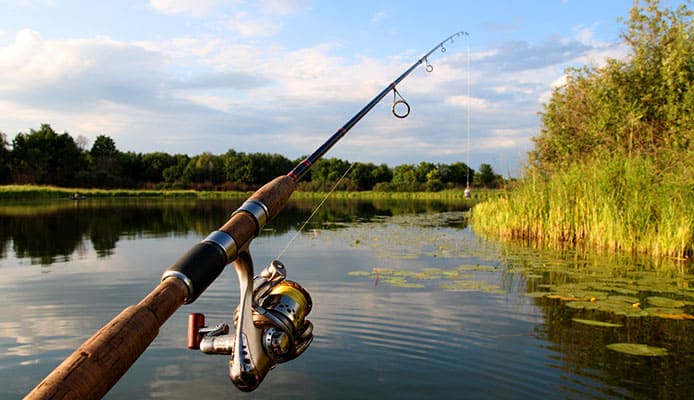 What_Is_The_Difference_Between_Catfish_Rods_And_Catfish_Poles