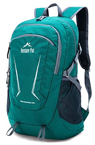 Venture Pal Day Budget Hiking Backpack