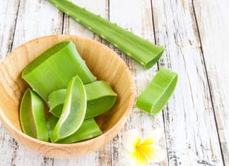 Aloe_Vera_For_Acid_Reflux_-_This_What_You_Should_Do