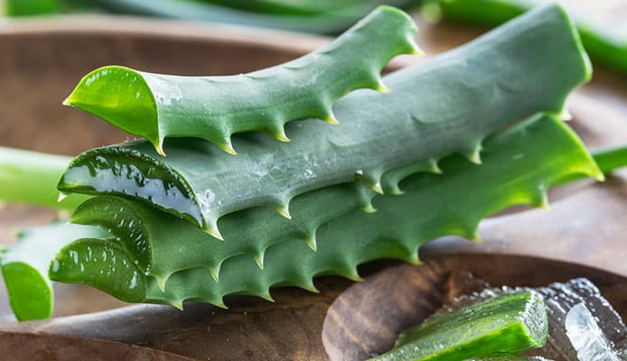 Aloe_Vera_For_Inflamation_Beginner_s_Guide