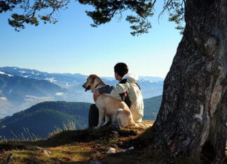 How_To_Find_Dog-Friendly_Trails_Near_Me