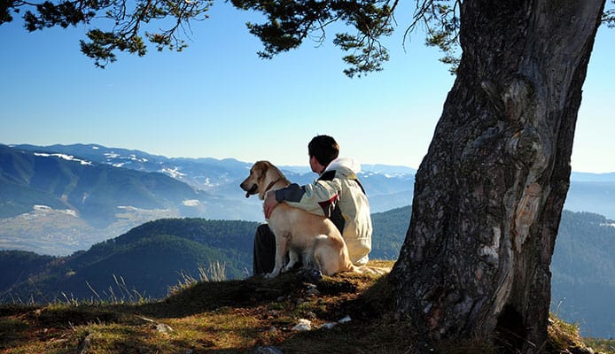How to Find Dog-Friendly Trails Near Me - Globo Surf