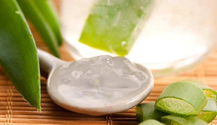 Is_Aloe_Vera_For_Inflammation_Effective