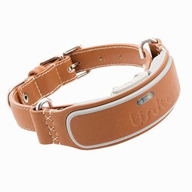 Link AKC Smart Collar GPS Tracker For Dogs