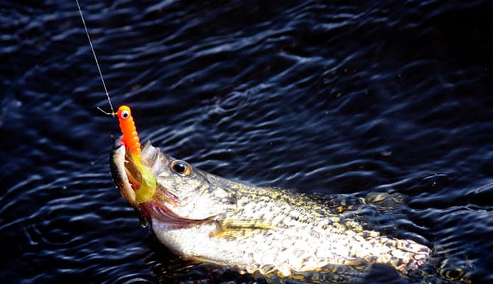How_long_should_a_crappie_rod_be