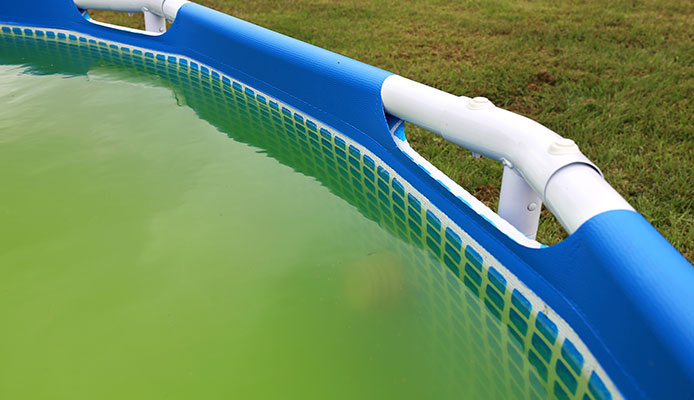 How_do_I_clean_my_Intex_pool_water